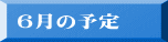 6̗\